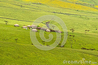 Maasai boma huts enclosure onBurr Marigold near Lake Magadi at Ngorongoro Crater in Tanzania, Africa Stock Photo