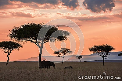 Maasai Mara sunset landscape Stock Photo