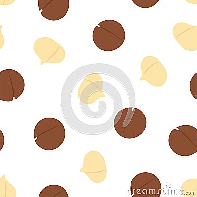 Macadamia nut. Cosmetic and medical plant. Vector Illustration