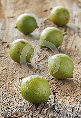 Macadamia in husk Stock Photo