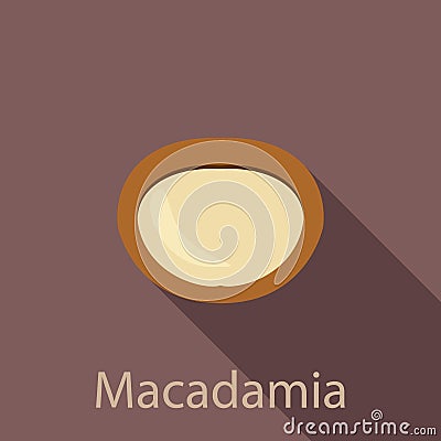 Macadamia icon, flat style Vector Illustration