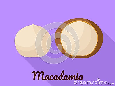 Macadamia icon, flat style Vector Illustration