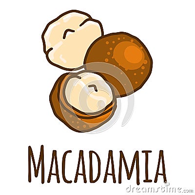 Macadamia icon, hand drawn style Vector Illustration