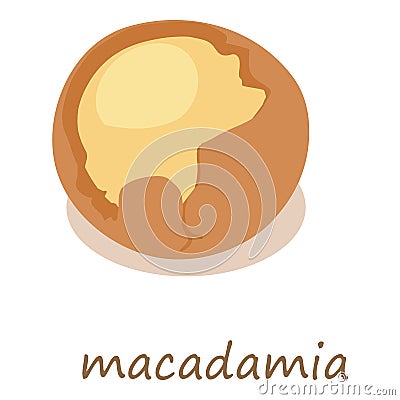 Macadamia icon, isometric 3d style Vector Illustration