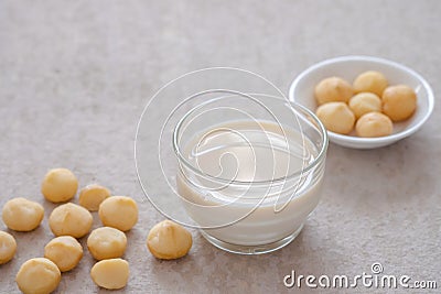 Macadamia milk in glass and macadamia nuts on table Stock Photo