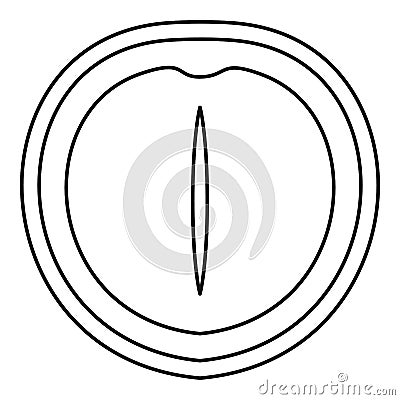 Macadamia nut icon, outline style Vector Illustration