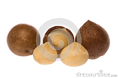 Macadamia Nuts Stock Photo