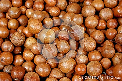 Macadamia nuts Stock Photo