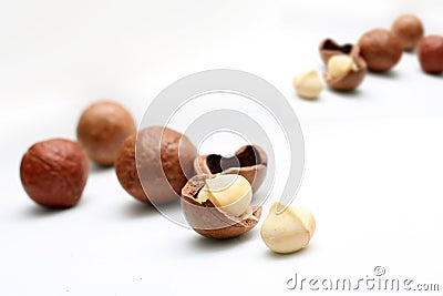 Macadamia nuts Stock Photo