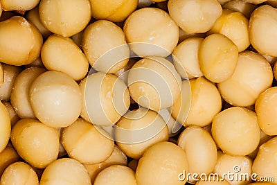 Macadamia Nuts Food Protein Stock Photo