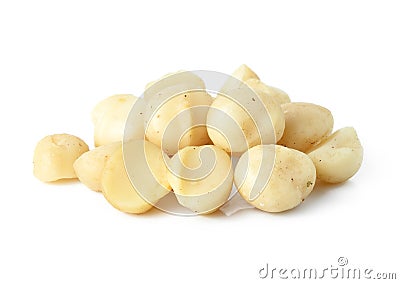 Macadamia nuts Stock Photo