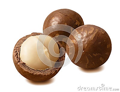 Macadamia nuts. Peeled and in nutshells. Isolated on white background Stock Photo