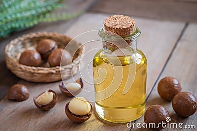 Macadamia oil in bottle and macadamia nuts on wooden table Stock Photo
