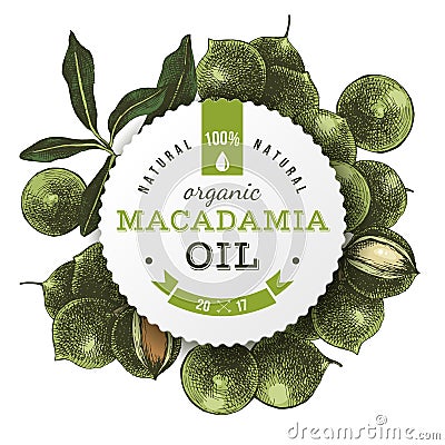 Macadamia oil label with hand drawn nuts Vector Illustration