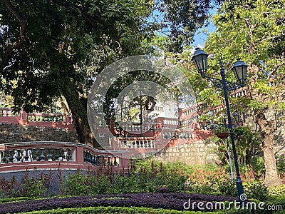 Macao S. Francisco Garden Springtime Spring Summer Trees Green Plants Sunny Afternoon Macau Park Children Playground Editorial Stock Photo