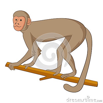 Macaque icon, cartoon style Vector Illustration