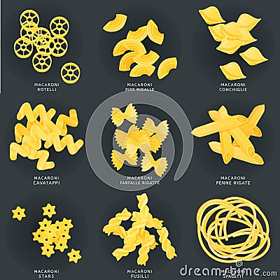 Macaroni in different variations. Set of pasta, fusilli, conchiglio, rigatoni, farfalle, penne, ruote, cavatappi Vector Illustration