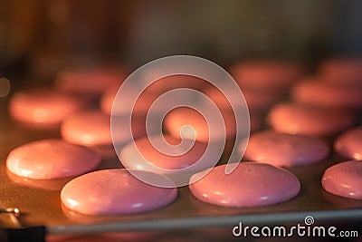 Macarons in the oven. Cooking at home. Sweet and colourful pink french macaroons Stock Photo