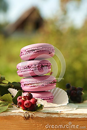 Macaroon Stock Photo