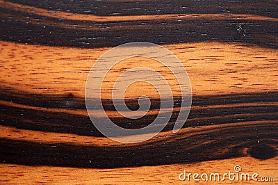 Macassar Ebony wood Stock Photo
