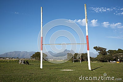 Macassar village and rugby pitch with cows grazing Stock Photo