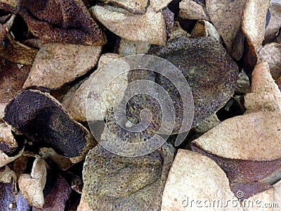 Macau Tai Chien Tong Chinese Medicine Store Herbal Shop Pharmacy Dried Fruits Mandarin Tangerine Orange Skin Peel Glass Bottle Sto Stock Photo