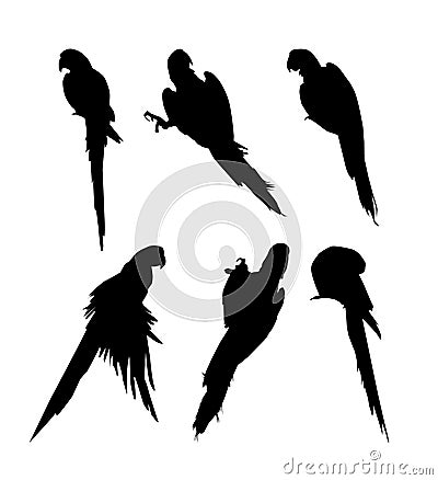 Macaw bird Silhouette Set -vector Vector Illustration