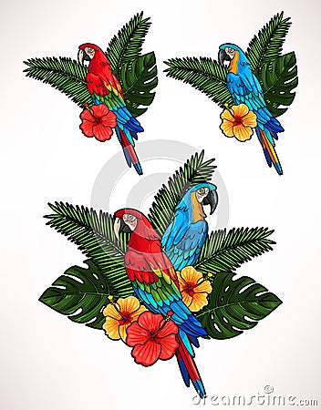 Macaw and palm leaves Vector Illustration