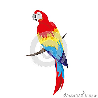 A macaw parrot sits on a verka. Vector Illustration