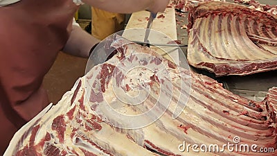 Macelli che processi la carcassa per produrre la fabbrica della salsiccia archivi video Macelli che processi la carcassa per produrre la fabbrica della salsiccia archivi video