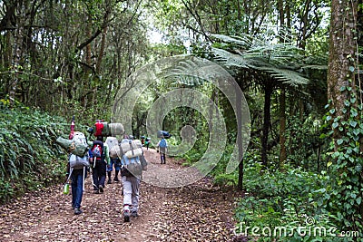 Machame Route Kilimanjaro Editorial Stock Photo