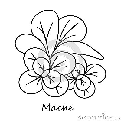Mache vector icon.Outline,line vector icon isolated on white background mache . Vector Illustration