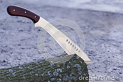 Machete stuck in stump Stock Photo