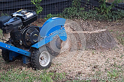 Machine Grinding Up Tree Stump Stock Photo