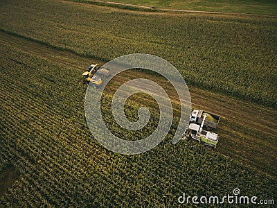 Machines harvesting corn in the field. Aerial drone shot. Editorial Stock Photo