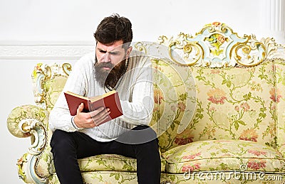 Macho on concentrated face reading book. Scandalous bestseller concept. Man with beard and mustache sits on baroque Stock Photo
