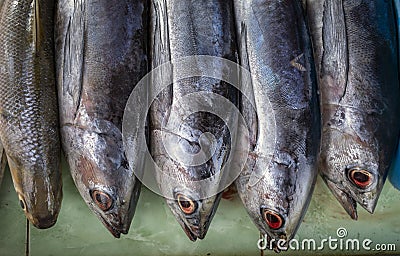Mackarel tuna, fresh fish in a traditional market in Yogyakarta, Indonesia Stock Photo