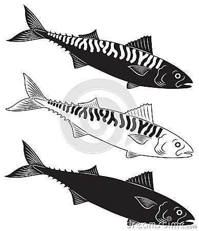 Mackerel Vector Illustration