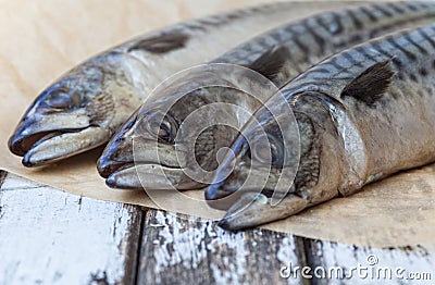 Mackerel Fish Stock Photo