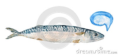 Mackerel fish Stock Photo