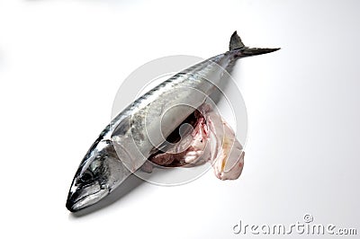 Mackerel guts Stock Photo