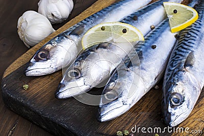 Mackerel Stock Photo