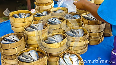 Mackerel selling in maket Editorial Stock Photo