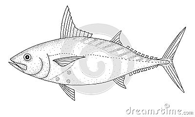 Mackerel tuna. Black hand drawn realistic outline vector image. Vector Illustration