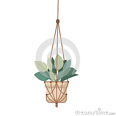 Macrame plant hanger with house plant isolated on white background. Vector Illustration