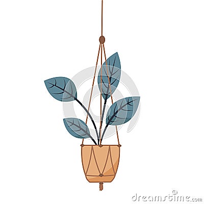 Macrame plant hanger with house plant isolated on white background. Vector Illustration