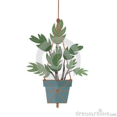 Macrame plant hanger with house plant isolated on white background. Vector Illustration