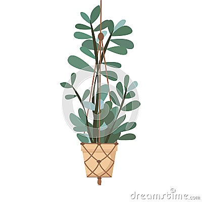 Macrame plant hanger with house plant isolated on white background. Vector Illustration