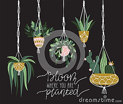 Macrame plant hangers in scandinavian interior. Vector stylish elements design. `Bloom where is you are planted`. Vector Illustration