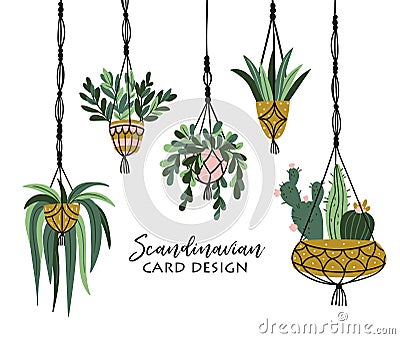 Macrame plant hangers in scandinavian interior. Vector stylish elements design. Isolated on white background. Vector Illustration